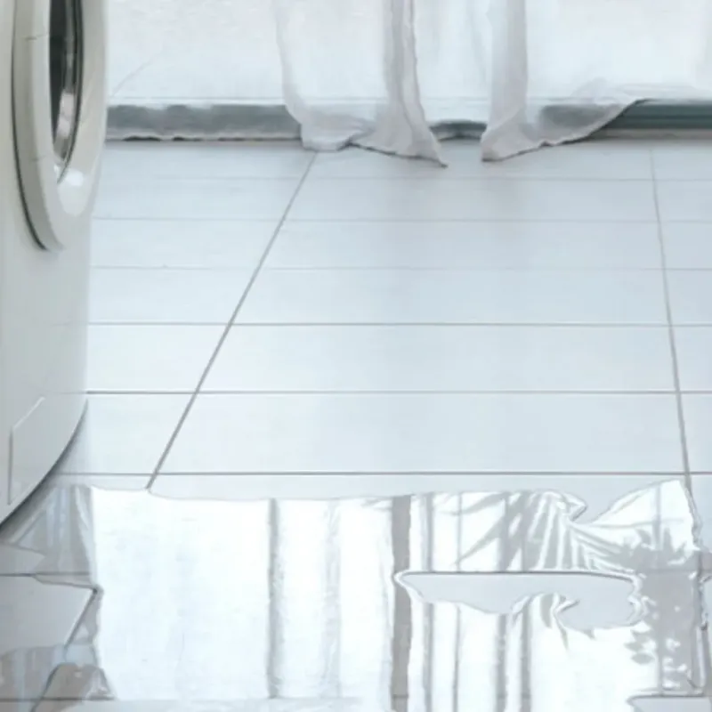 Appliance Leak Cleanup in Cashmere, WA