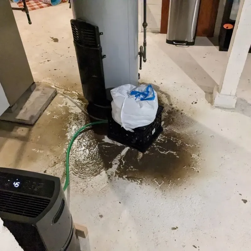 Sewage Backup Cleanup Service in Cashmere, WA